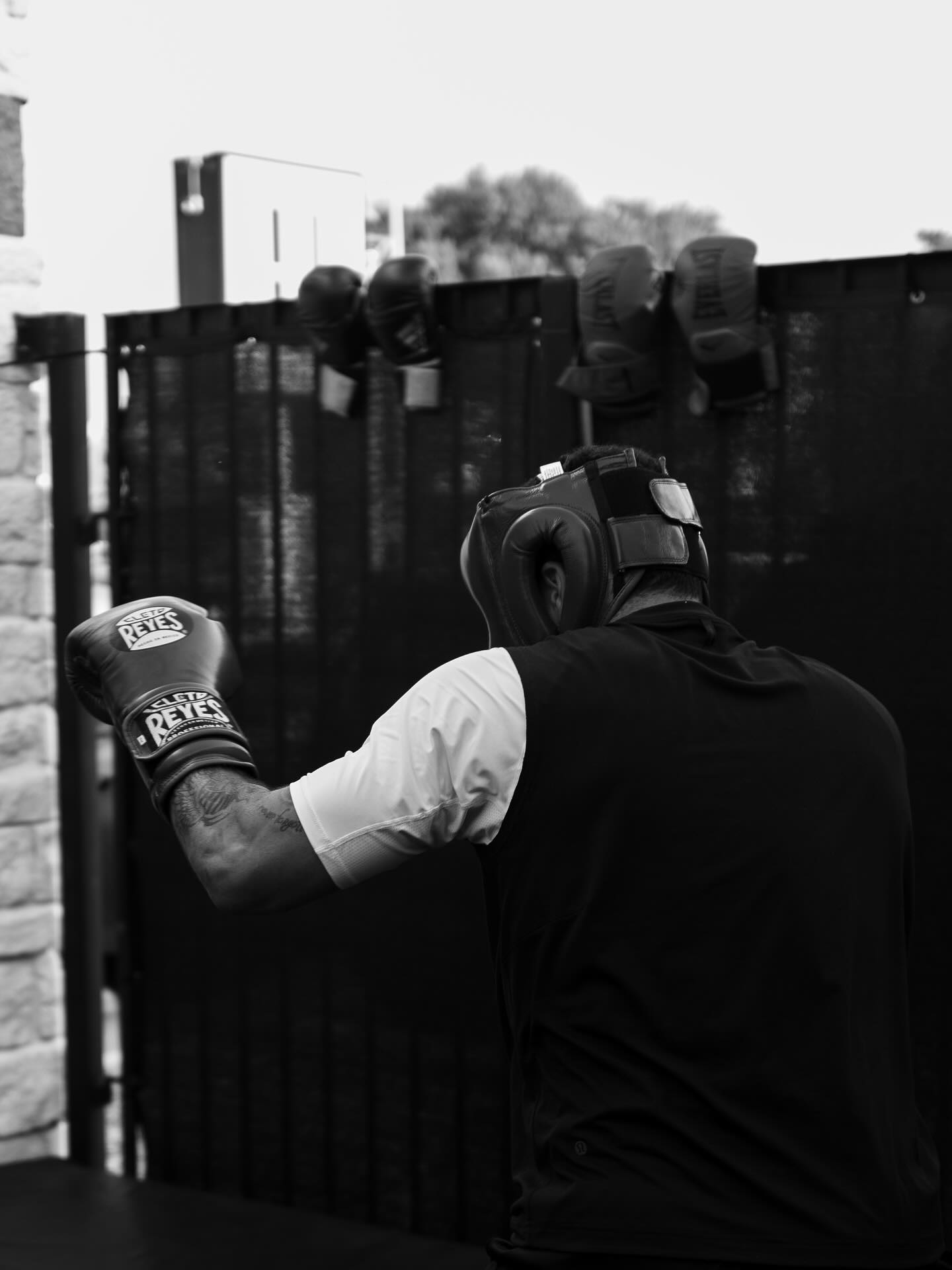 范弗利特晒, yid, img